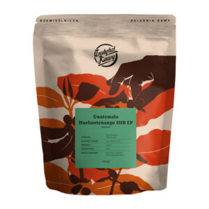 Instytut Kawy - kawa ziarnista Gwatemala Huehuetanango SHB EP Washed Espresso 1 kg