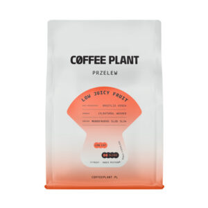 COFFEE PLANT - kawa ziarnista niskokofeinowa LOW Juicy Fruit Filter 250 g