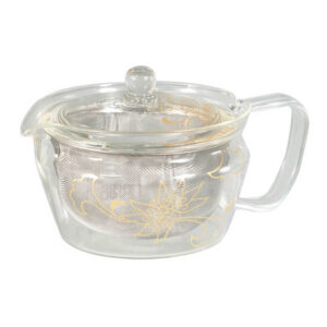HARIO czajniczek do zaparzania herbaty TACHIKICHI Cha-Cha Kyusu Zen KyoKarakusa 450ml