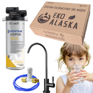 Pentair Everpure - Zestaw Filtracyjny do kuchni 2FC-S BLACK