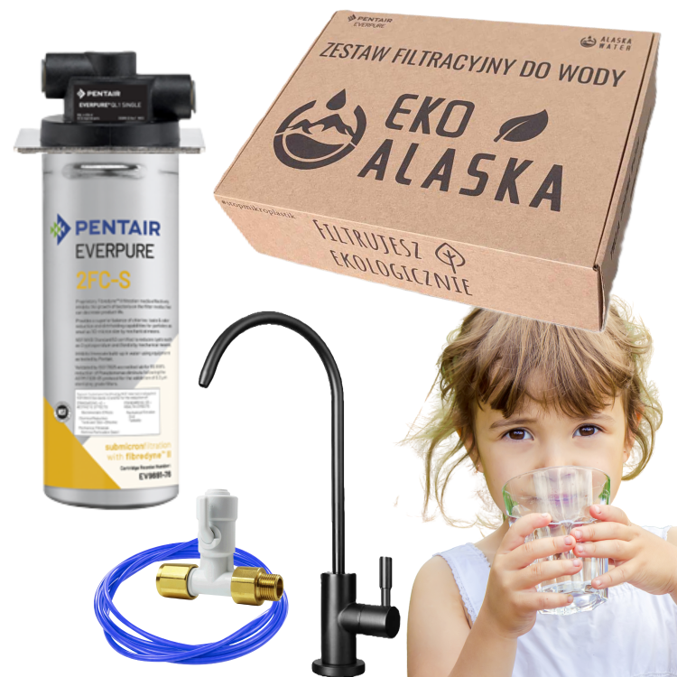 Pentair Everpure - Zestaw Filtracyjny do kuchni 2FC-S BLACK