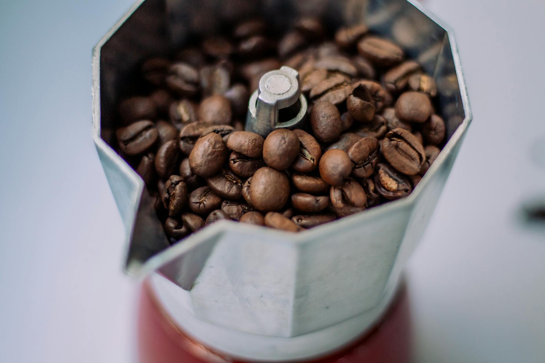 najlepsza kawa online